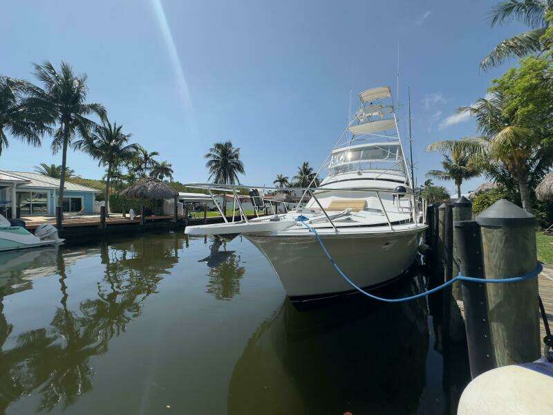 LAID BACK 46ft Bertram Yacht For Sale