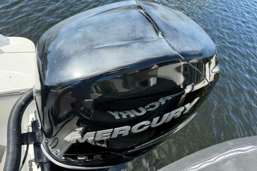 25' 2018 Boston Whaler 250 Outrage