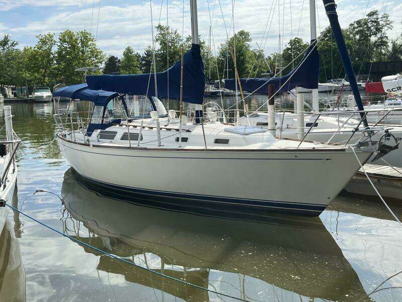 Outlaw 34ft Sabre Yacht For Sale