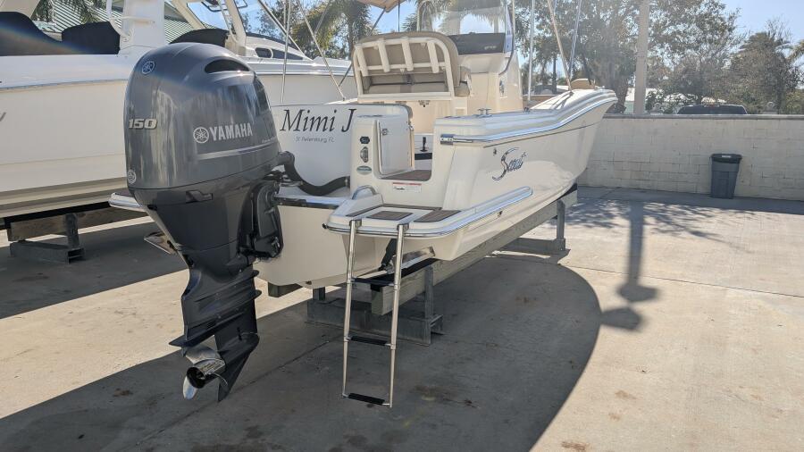 22' 2019 Scout 215xsf
