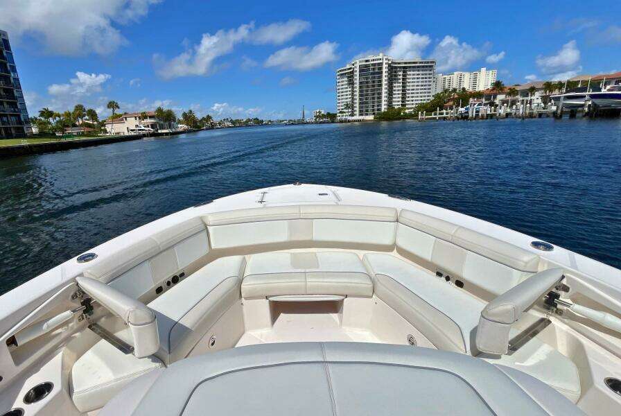 Pursuit 38 - PERSEVERANCE - Bow