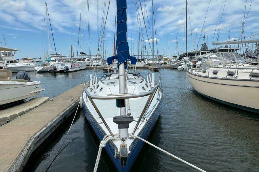JAZZ 38ft Catalina Yacht For Sale