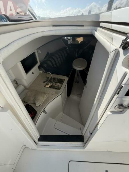 31' 2003 Intrepid 310