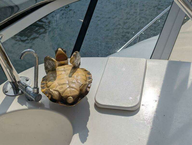 48ft Sea Ray Yacht For Sale