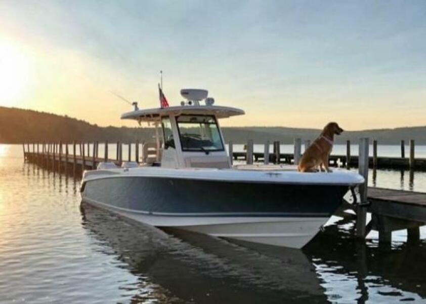 33' 2018 Boston Whaler 