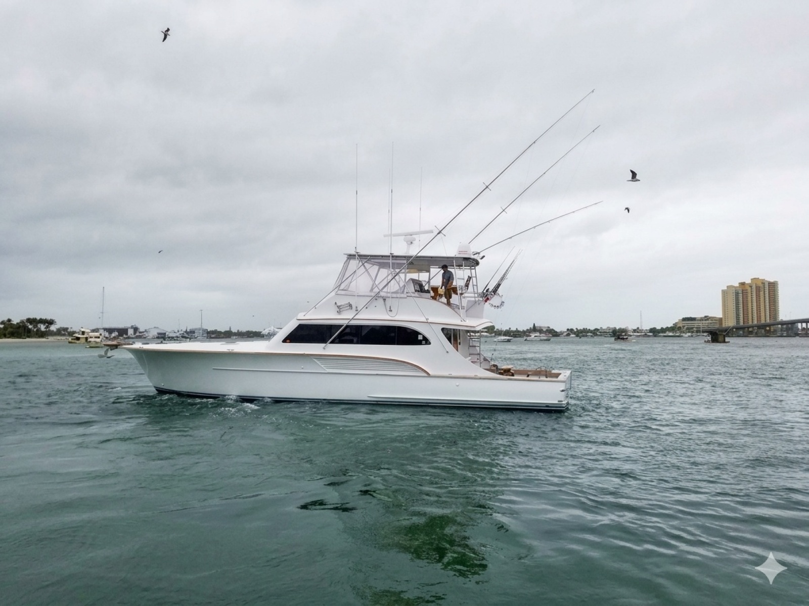 2001 Buddy Davis SPORTFISH