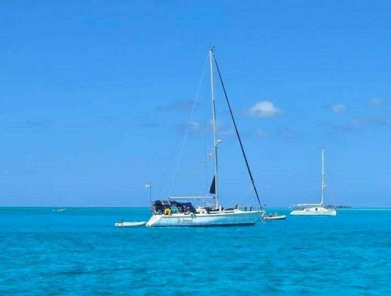 Sirena 42ft Catalina Yacht For Sale