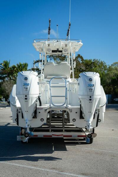 29' 2024 World Cat 295