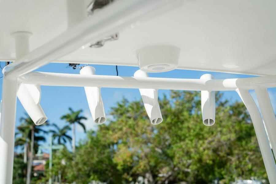 29' 2024 World Cat 295