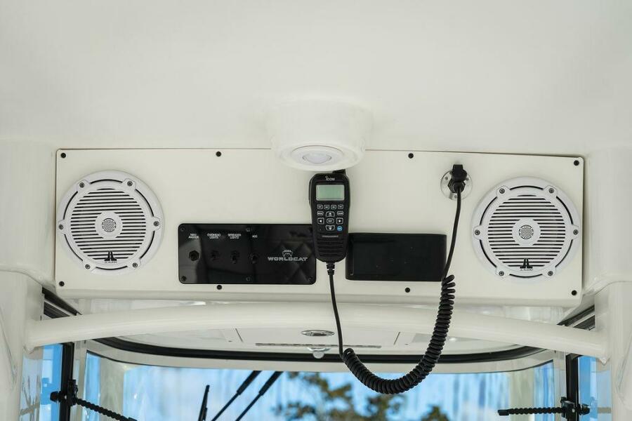 29' 2024 World Cat 295