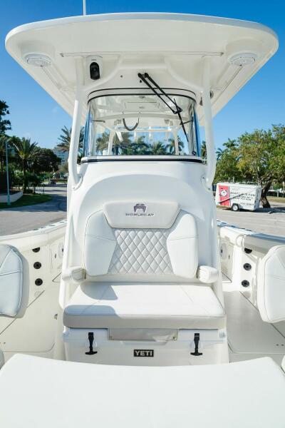 29' 2024 World Cat 295