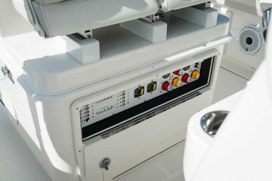 29' 2024 World Cat 295