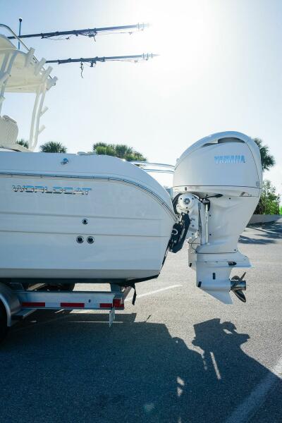 29' 2024 World Cat 295