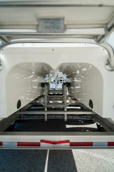 29' 2024 World Cat 295