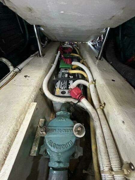 Spirit of Adventure 36ft Carver Yacht For Sale