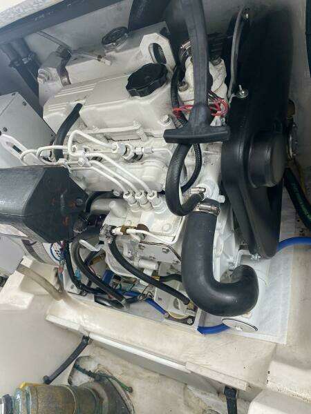 2006 Cabo 40 Express - BUZZ CATCHER