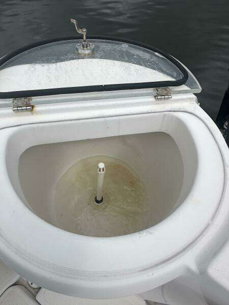 26ft Pro Line Yacht For Sale