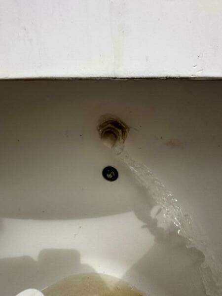 26ft Pro Line Yacht For Sale