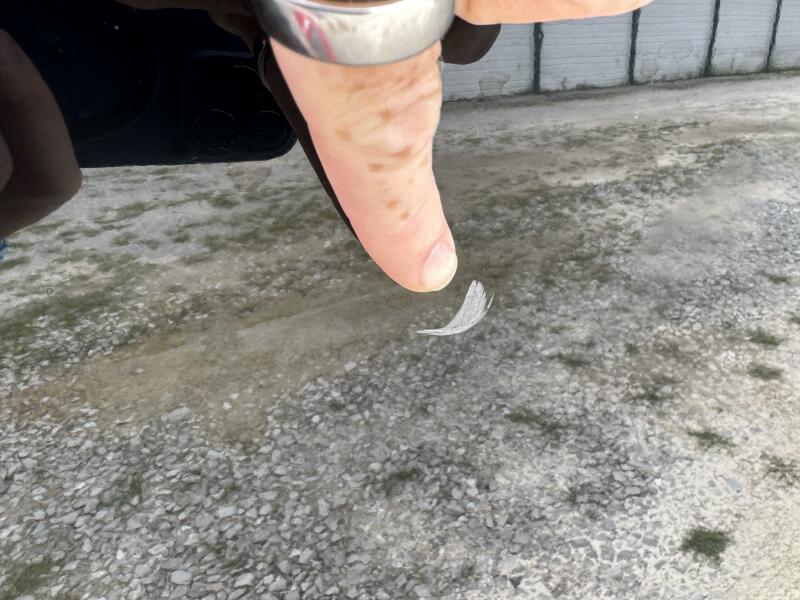 20' 2008 Mastercraft X-2