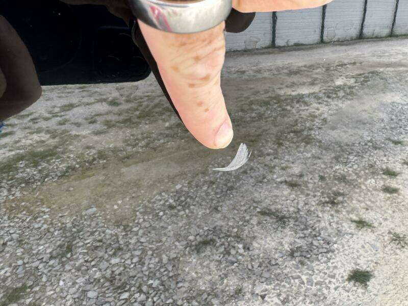 20ft Mastercraft Yacht For Sale