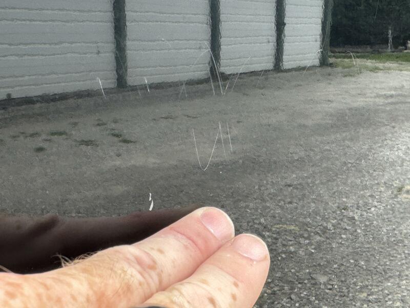 20' 2008 Mastercraft X-2