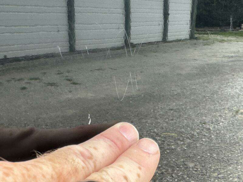 20ft Mastercraft Yacht For Sale