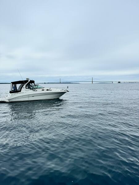 32' 2006 Sea Ray 320 Sundancer