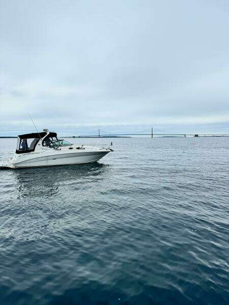 32ft Sea Ray Yacht For Sale