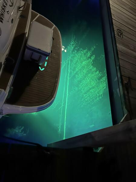 32' 2006 Sea Ray 320 Sundancer