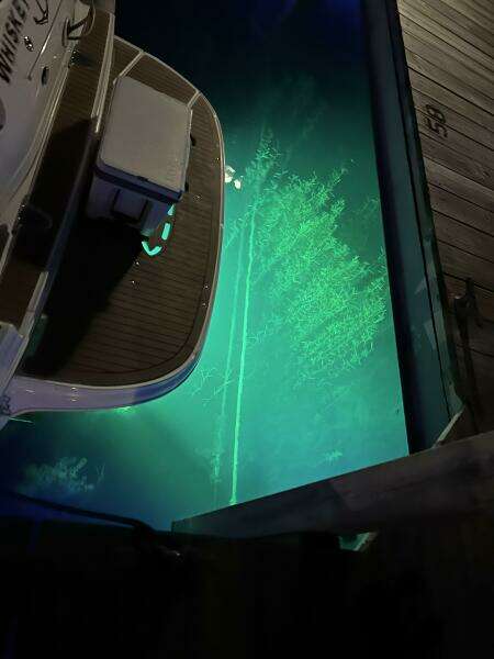 32ft Sea Ray Yacht For Sale