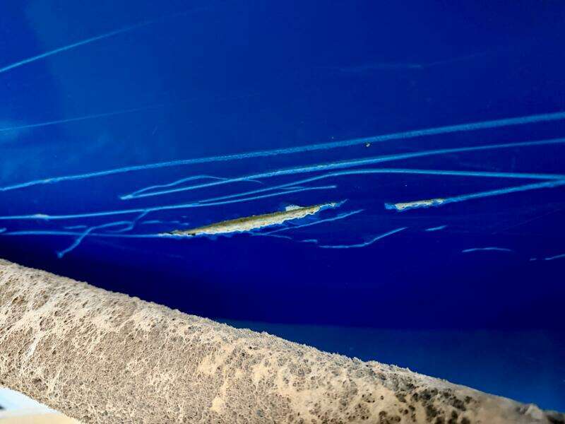 21ft Correct Craft Yacht For Sale