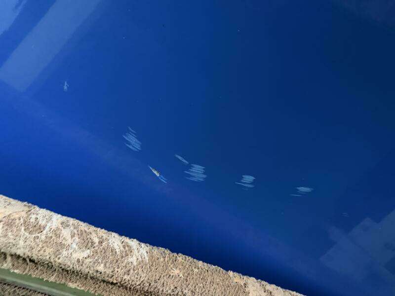 21ft Correct Craft Yacht For Sale