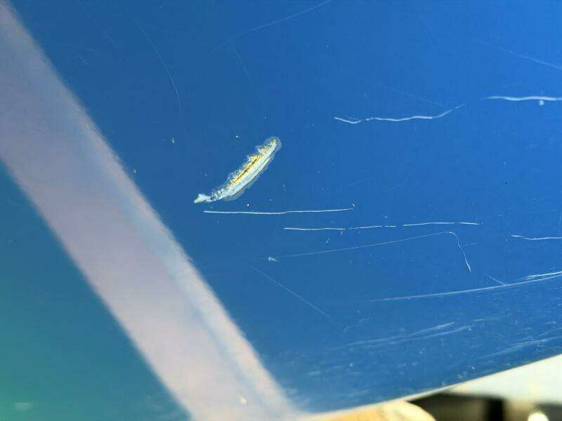 21ft Correct Craft Yacht For Sale