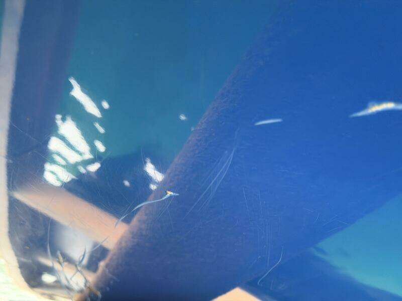 21ft Correct Craft Yacht For Sale