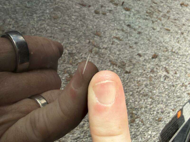 22ft Maxum Yacht For Sale