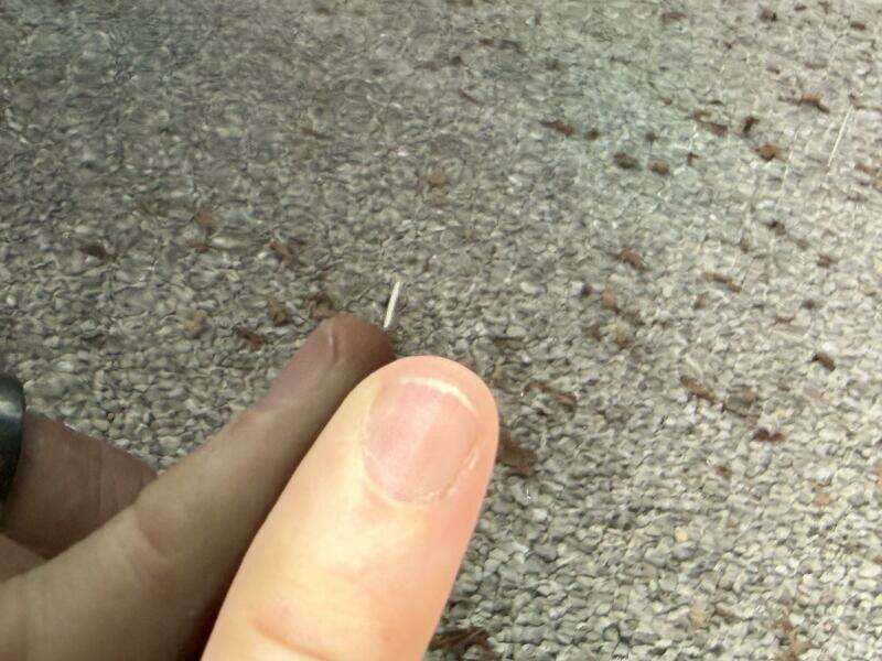 22ft Maxum Yacht For Sale