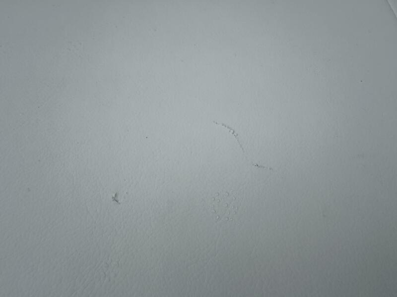 21' 2023 Chaparral 21 SSi Ski & Fish