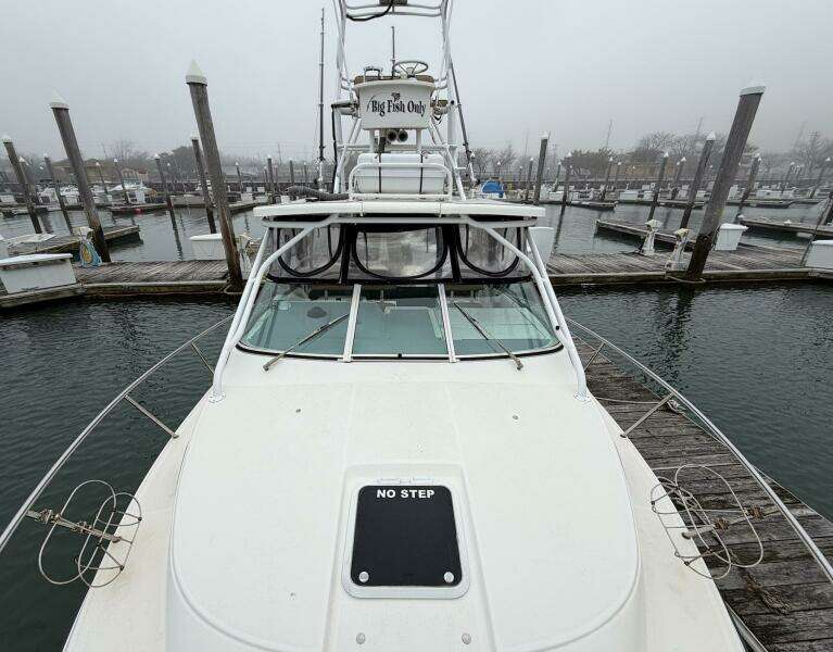 Big Fish On 29ft Wellcraft Yacht For Sale