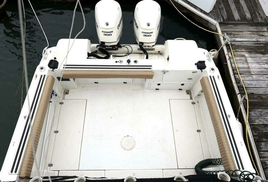 Big Fish On 29ft Wellcraft Yacht For Sale