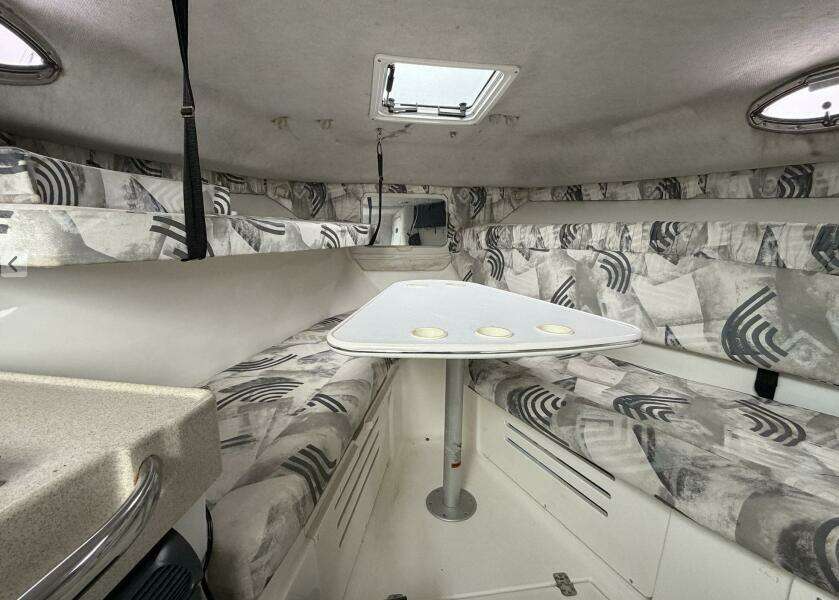 Big Fish On 29ft Wellcraft Yacht For Sale