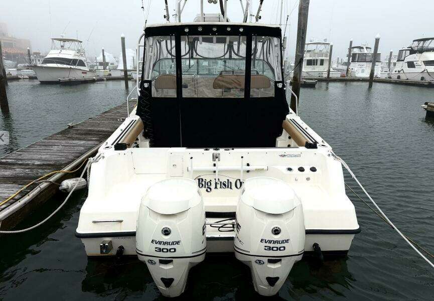 Big Fish On 29ft Wellcraft Yacht For Sale