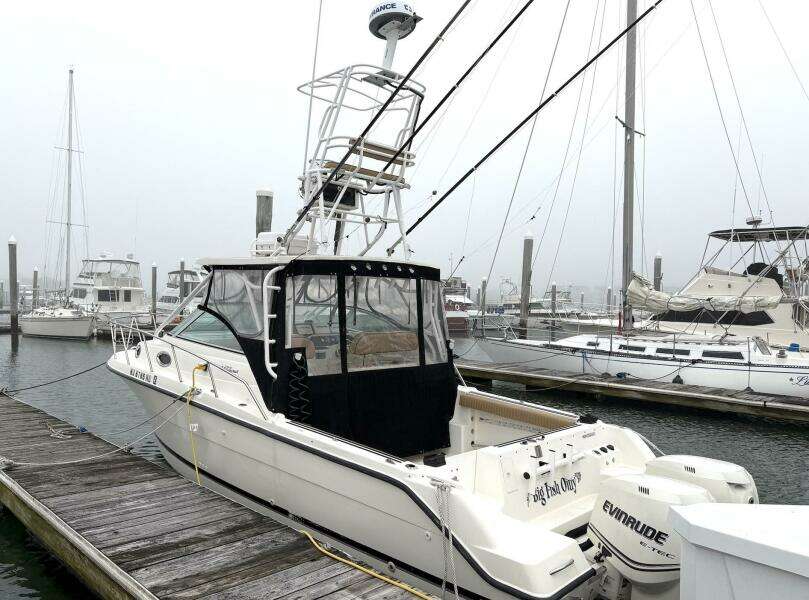 Big Fish On 29ft Wellcraft Yacht For Sale