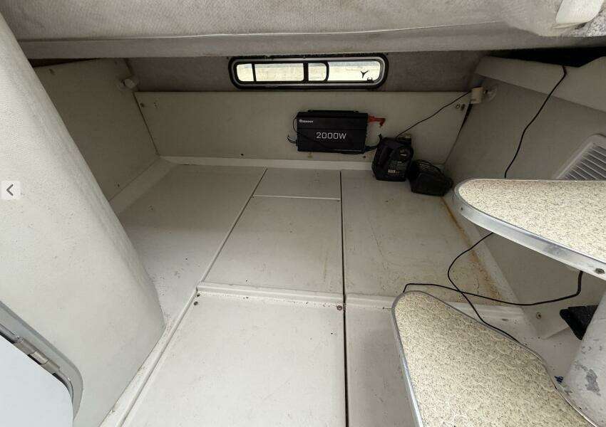 Big Fish On 29ft Wellcraft Yacht For Sale