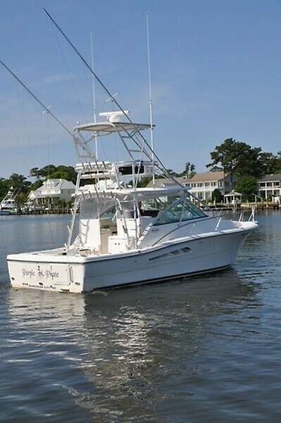 Purple Pirate 33ft Rampage Yacht For Sale