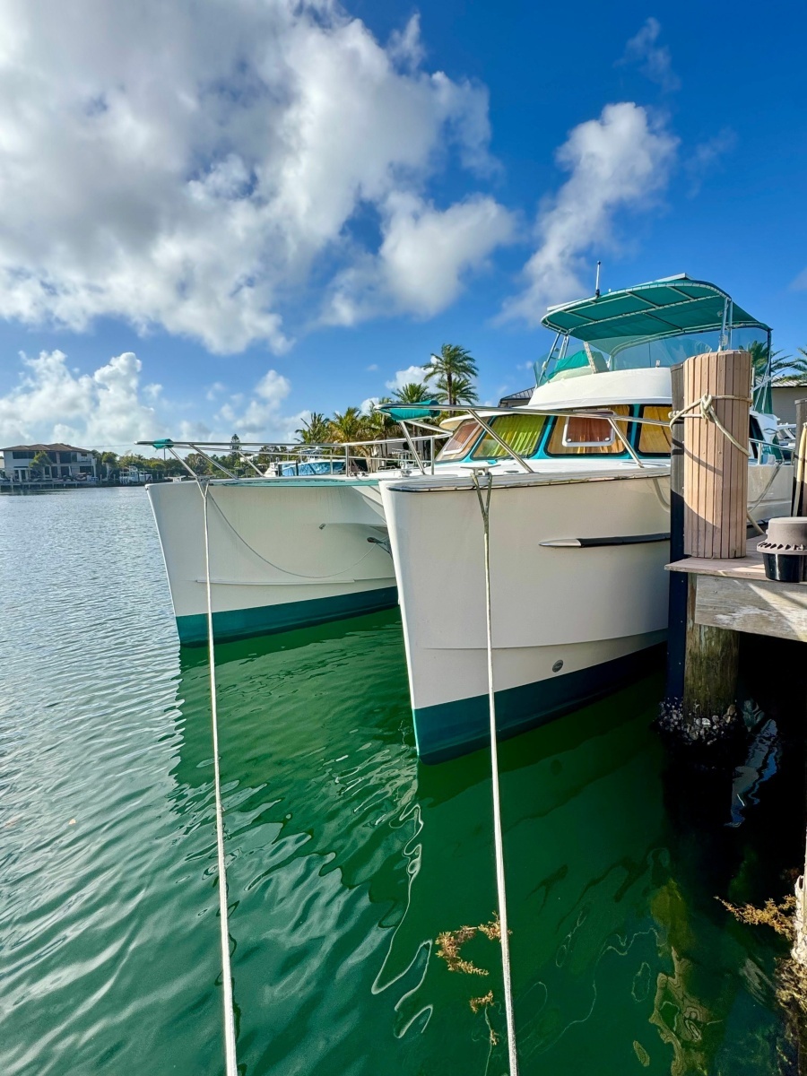 Knotty Cat 37ft Fountaine Pajot Yacht For Sale