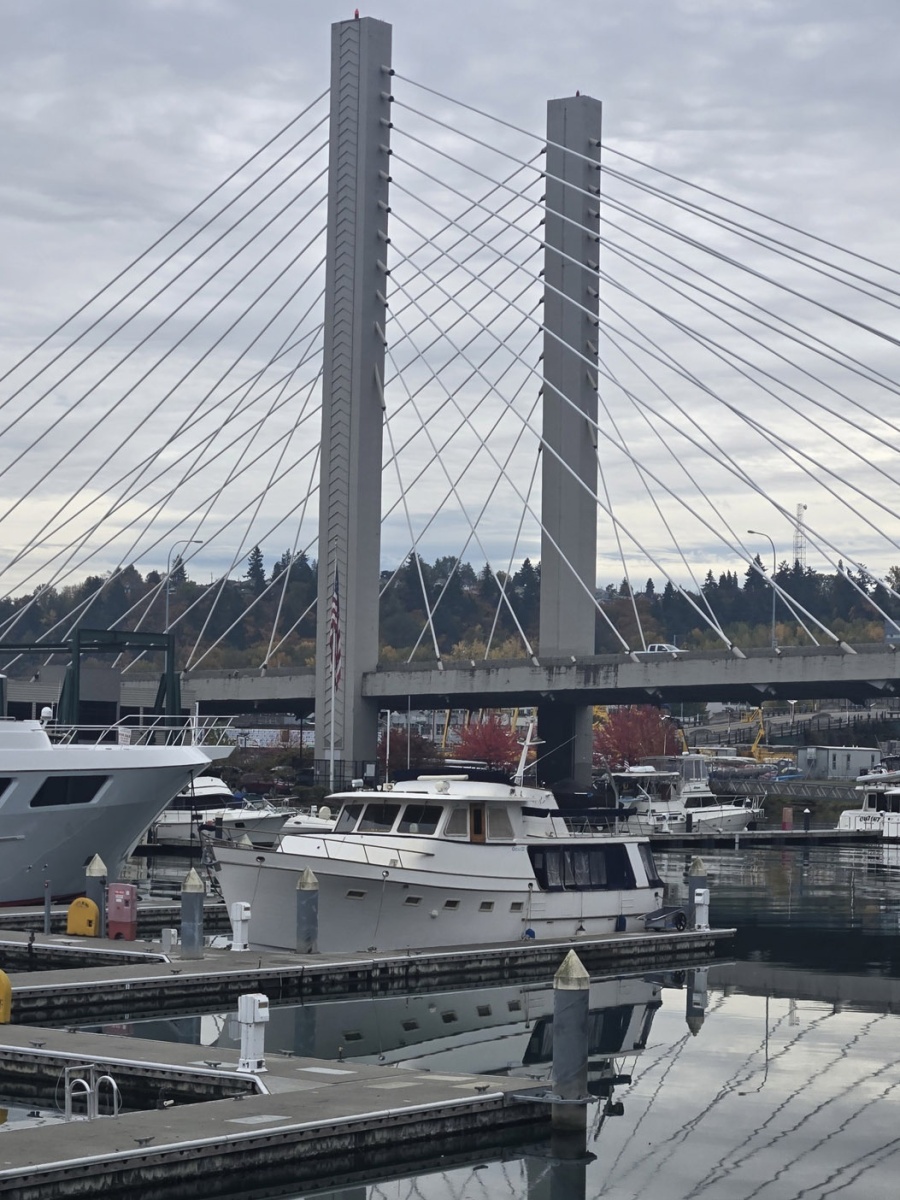 50' 1982 Ocean Alexander 