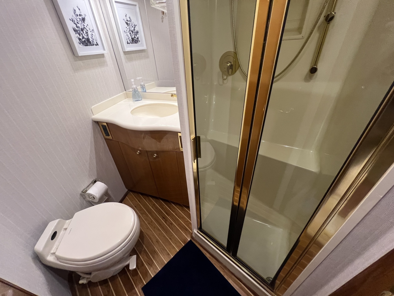 Viking 52 LET IT RAIN - Guest Head