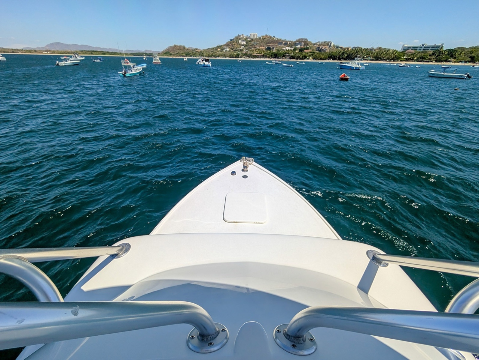 Bachata 31ft Bertram Yacht For Sale