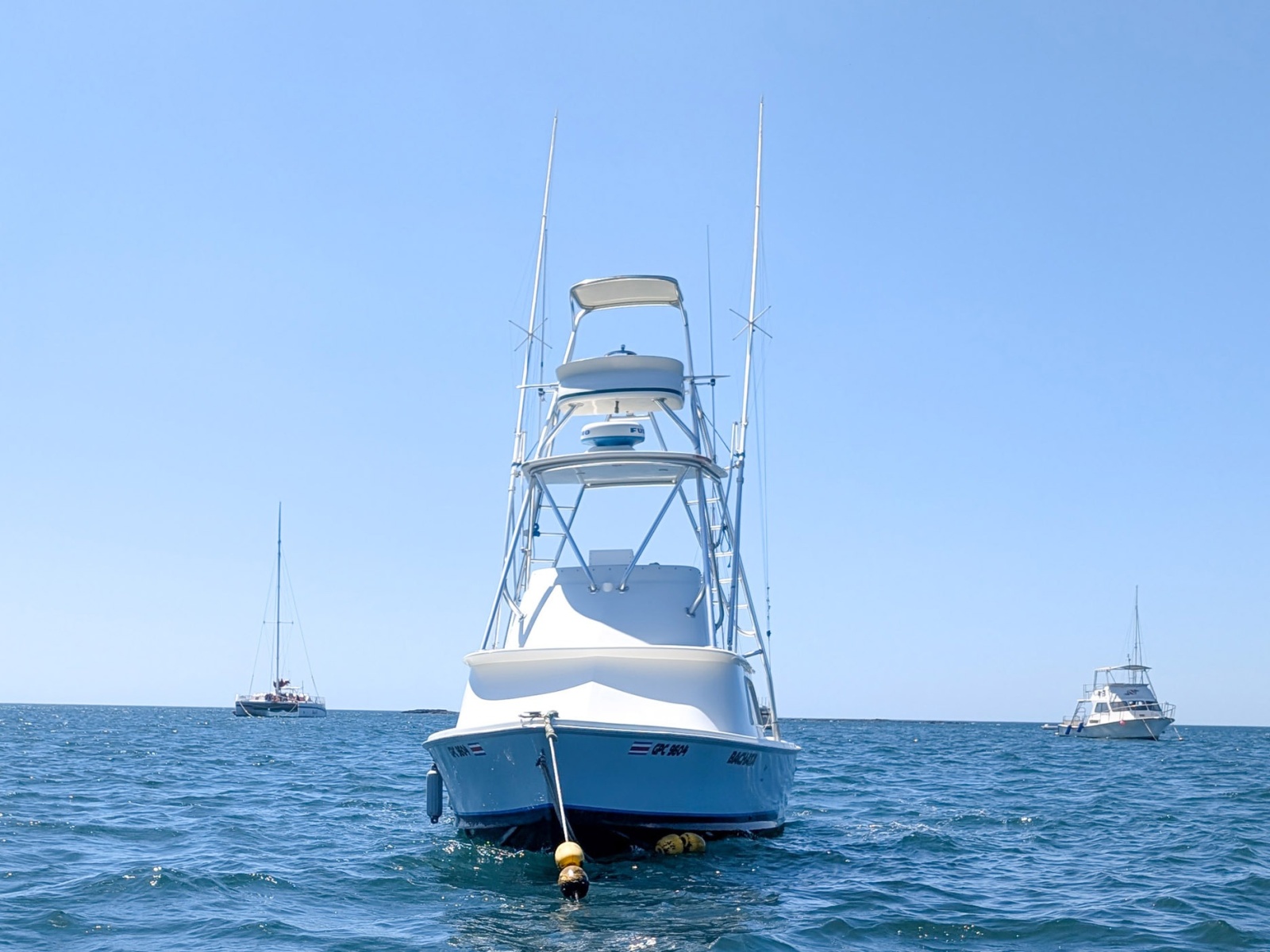 31' 1973 Bertram Sportfisher