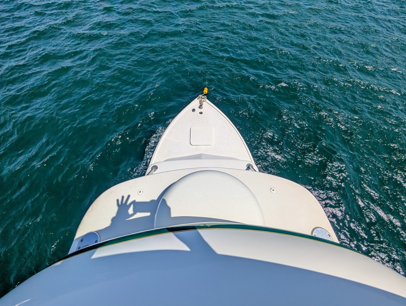 31' 1973 Bertram Sportfisher